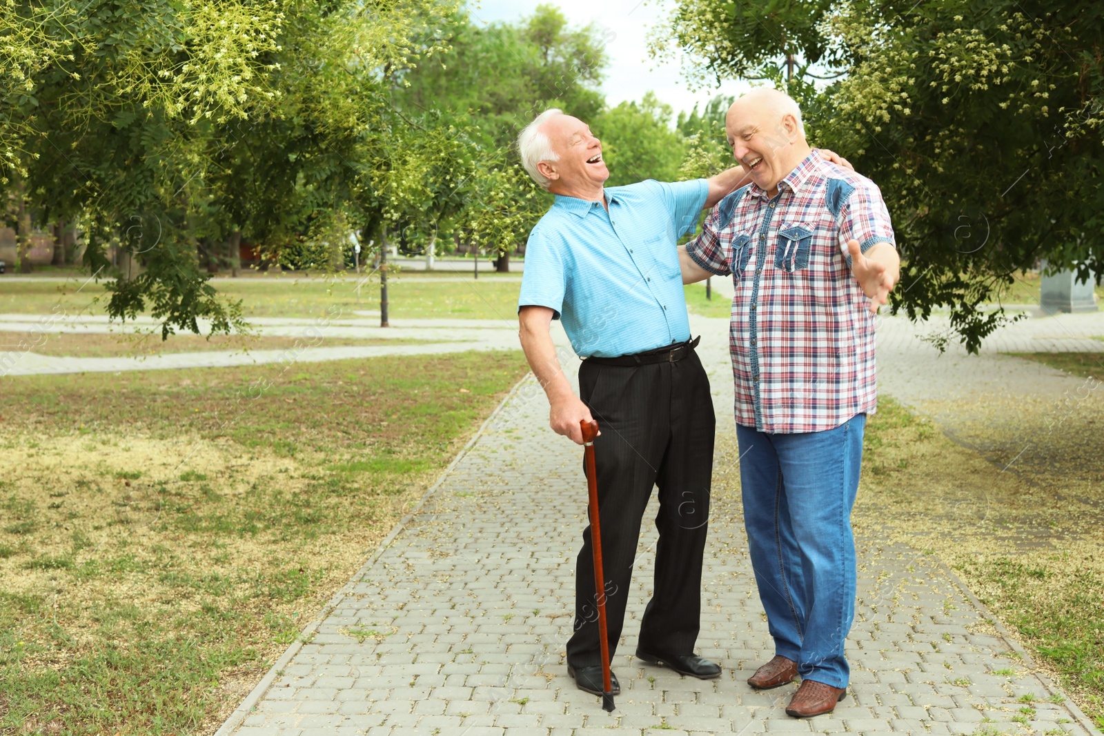 Photo of Elderly men spending time together in park