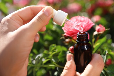 Photo of Woman holding dropper and bottle of essential oil near rose bush in garden, closeup