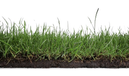 Photo of Soil with green grass on white background