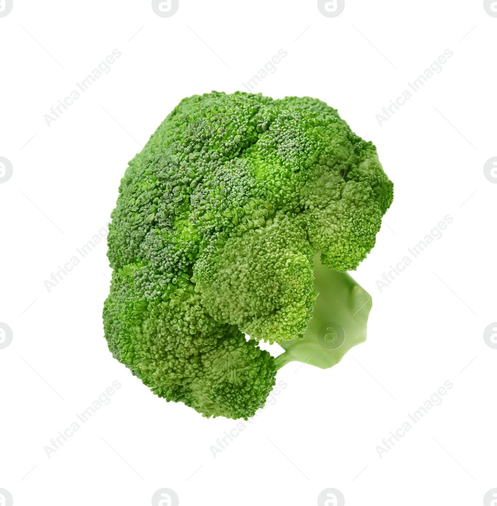 Photo of Fresh raw green broccoli isolated on white