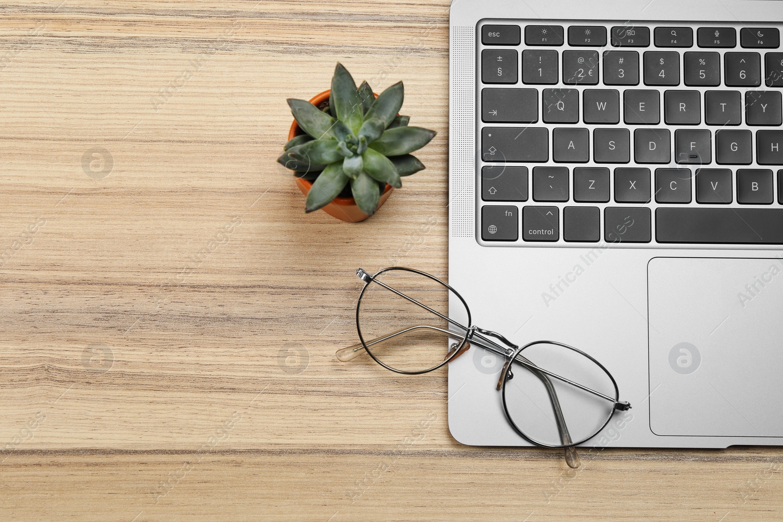 Photo of Modern laptop, houseplant and glasses on wooden table, flat lay. Space for text
