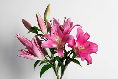 Beautiful pink lily flowers in vase on white background