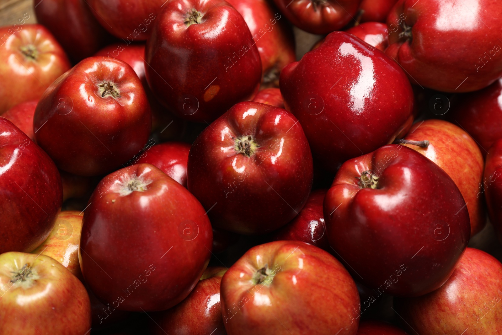 Photo of Fresh ripe red apples as background, closeup