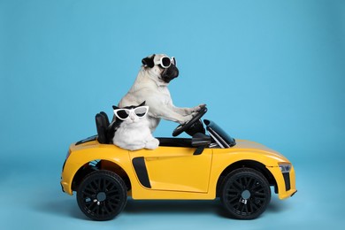 Photo of Funny pug dog and cat with sunglasses in toy car on light blue background