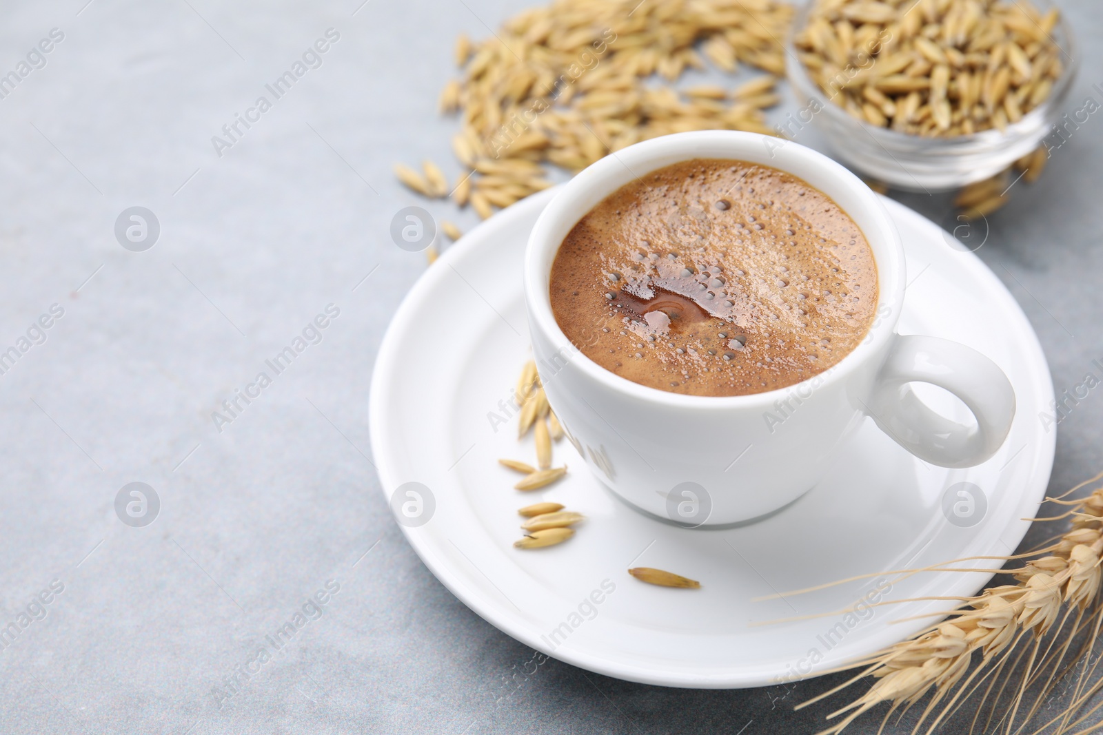 Photo of Cup of barley coffee, grains and spike on gray table, closeup. Space for text
