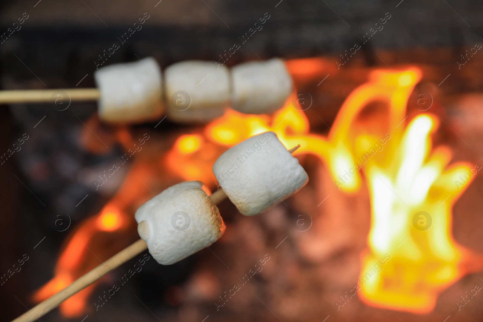 Photo of Delicious puffy marshmallows roasting over bonfire, closeup