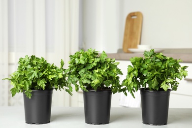 Photo of Pots with fresh green parsley on table in kitchen. Space for text