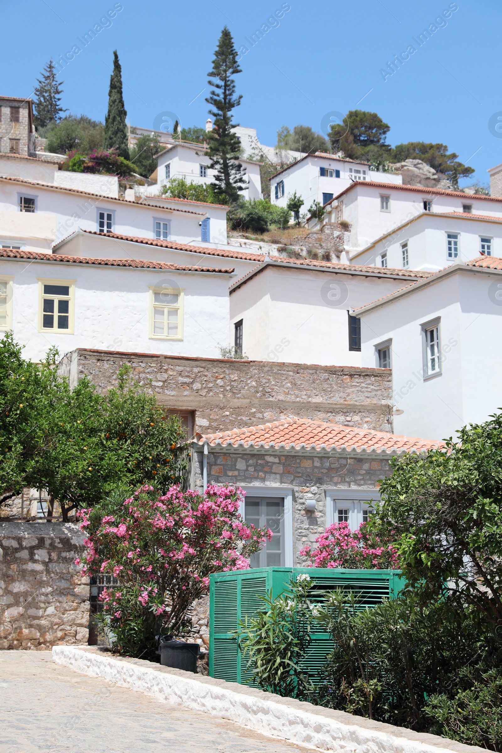 Photo of City street with beautiful buildings and plants on sunny day