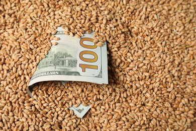 Photo of Dollar banknote in wheat grains, closeup. Agricultural business