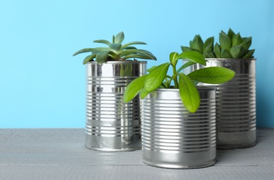 Beautiful houseplants in tin cans on light grey wooden table, closeup