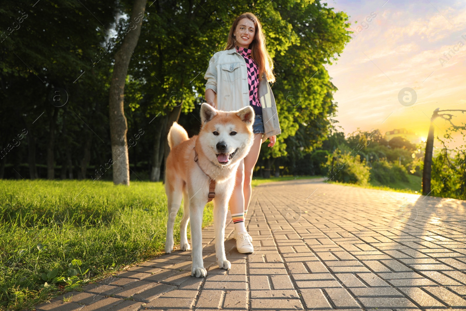 Photo of Young beautiful woman walking her adorable dog in park on sunny day