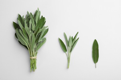 Fresh green sage on light background, flat lay