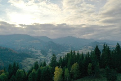 Aerial view of beautiful mountain landscape with forest at sunrise