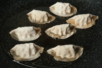 Photo of Cooking gyoza on frying pan with hot oil, closeup