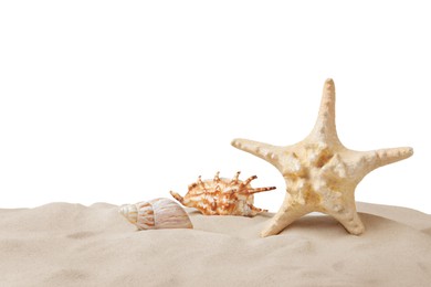 Photo of Beautiful sea star and seashells in sand on white background