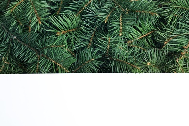 Blank card on Christmas tree branches, top view. Space for text