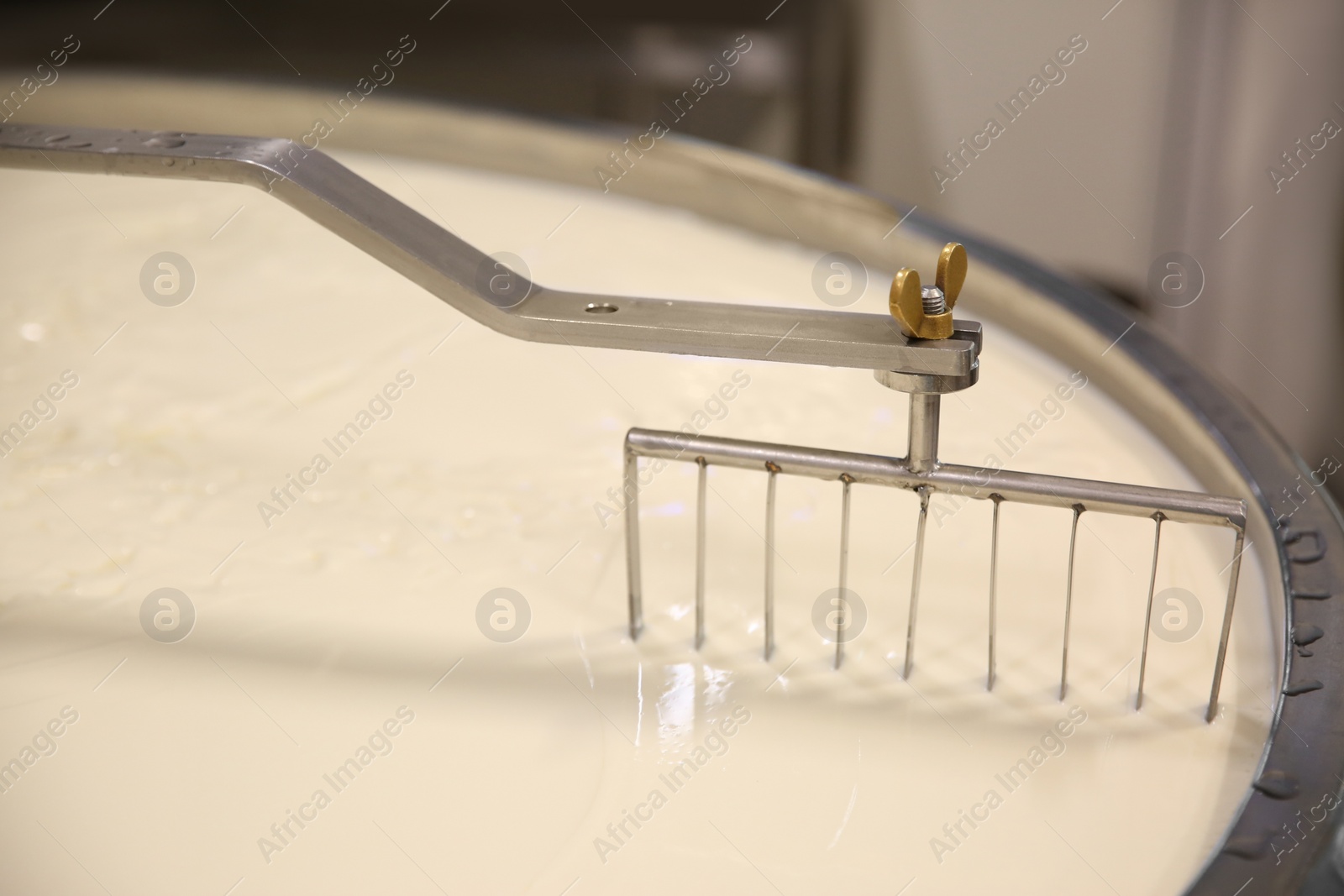 Photo of Curd and whey in tank at cheese factory, closeup