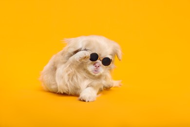 Photo of Cute Pekingese dog with sunglasses on yellow background