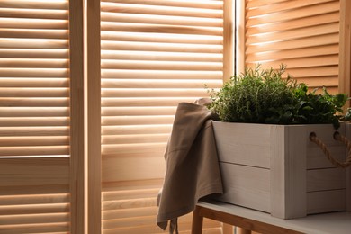 Photo of Different potted herbs on wooden table indoors, space for text