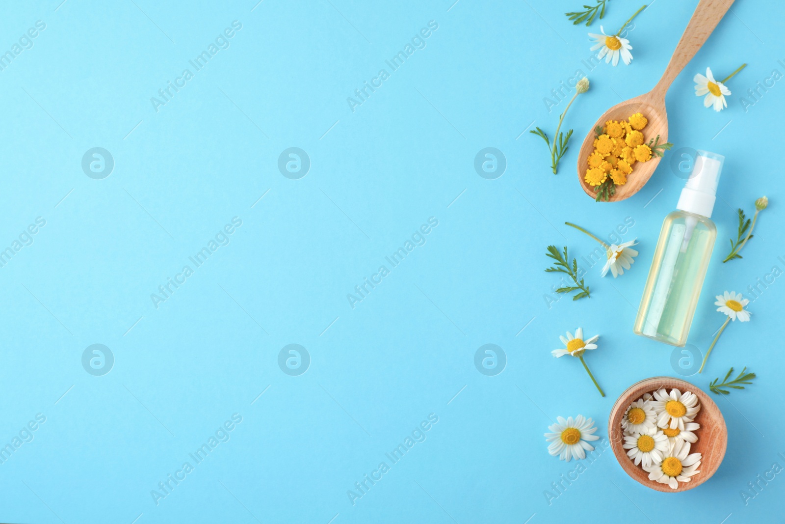 Photo of Flat lay composition with bottle of essential oil and flowers on color background, space for text