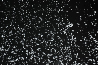 Photo of White snow falling down on black background