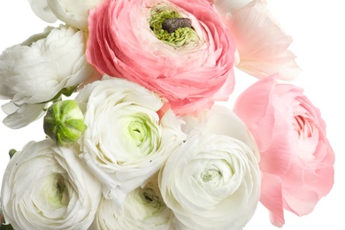 Beautiful ranunculus flowers, closeup