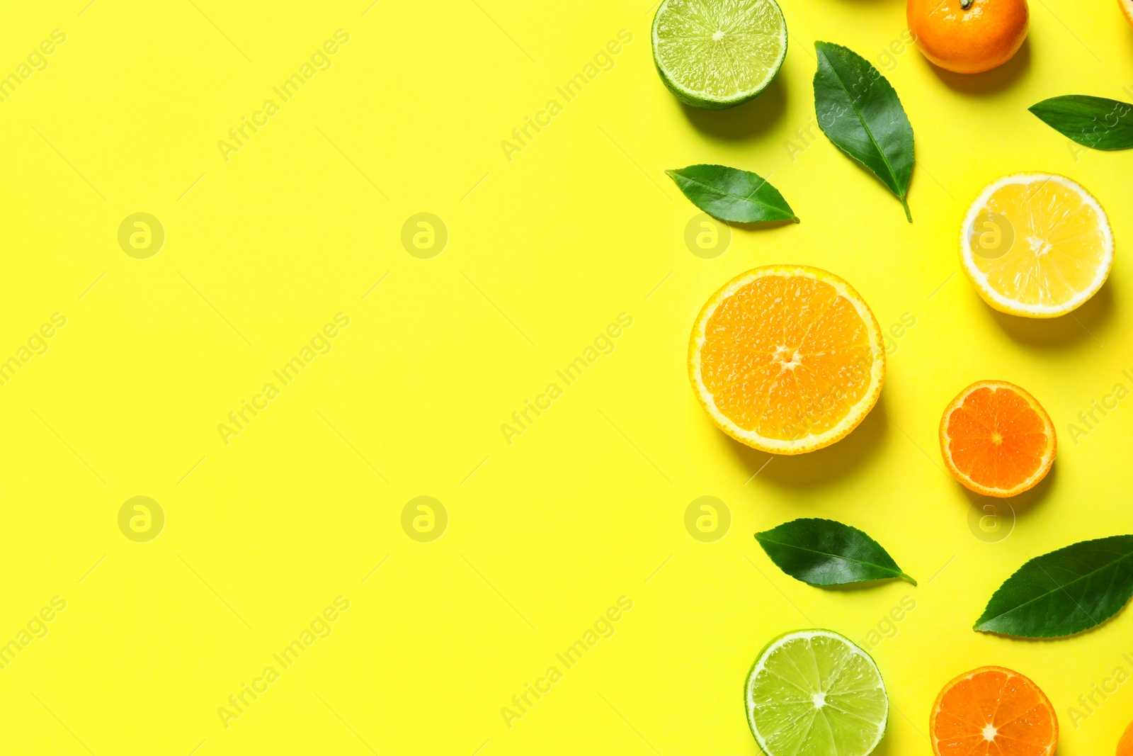 Photo of Different citrus fruits and leaves on color background, flat lay. Space for text