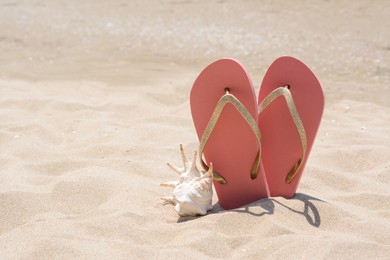 Photo of Seashell near stylish pink flip flops in sand on sunny day, space for text