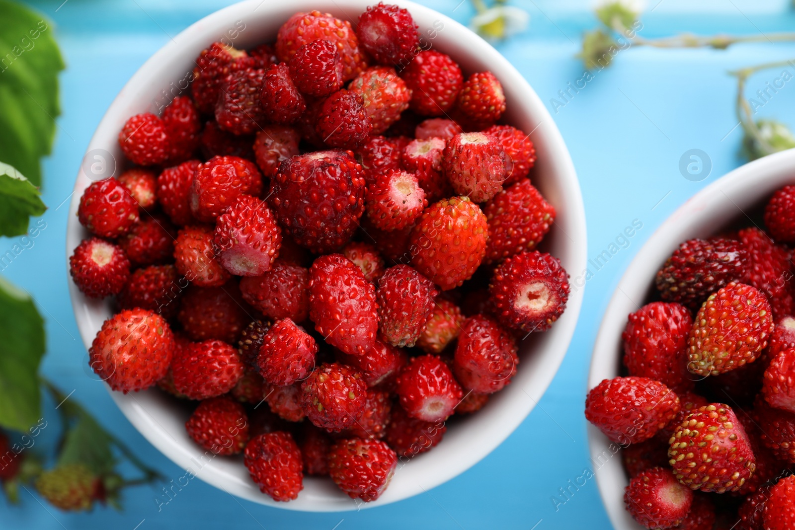 Photo of Fresh wild strawberries in bowls on light blue table, flat lay