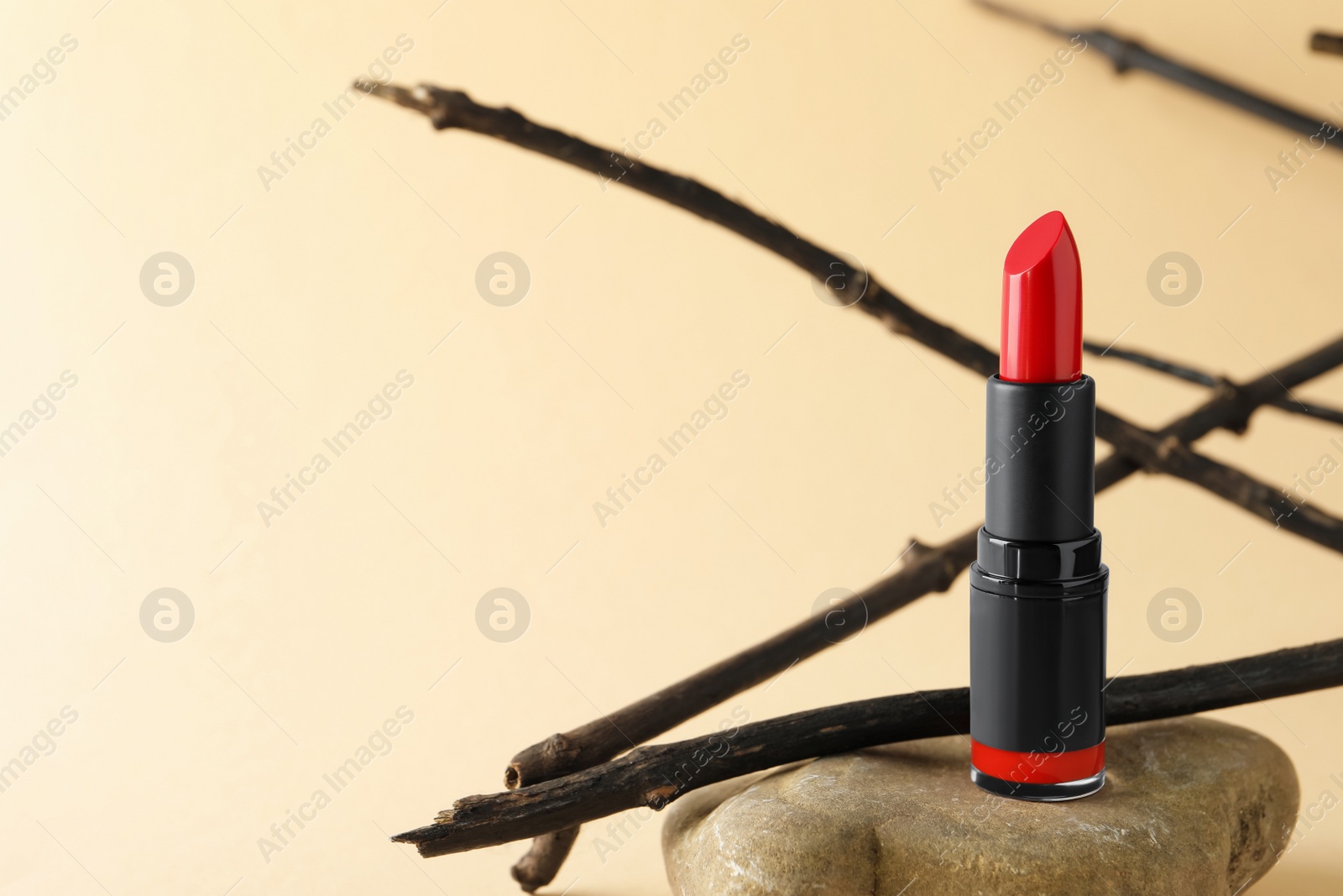 Photo of Beautiful red lipstick on stone and tree twigs against beige background, space for text