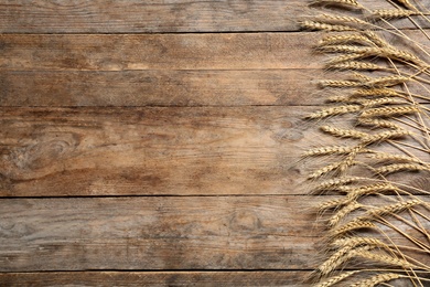 Wheat spikes on wooden background, flat lay. Space for text