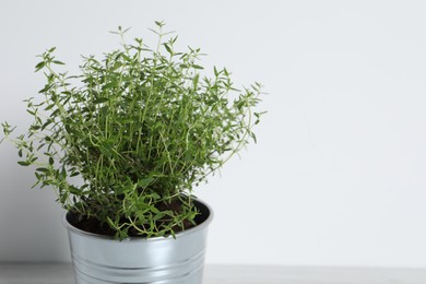 Aromatic green potted thyme against white background, closeup. Space for text