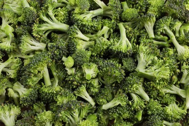 Photo of Fresh raw broccoli as background, top view