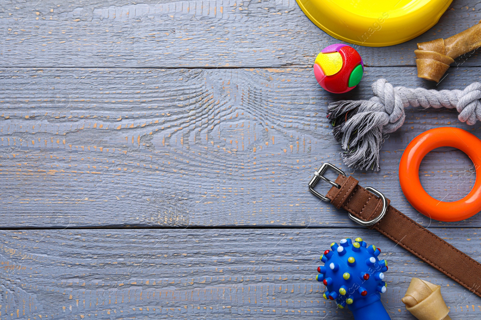 Photo of Flat lay composition with dog collar and different accessories on grey wooden table, space for text