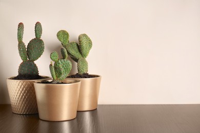Many different beautiful cacti on wooden table, space for text