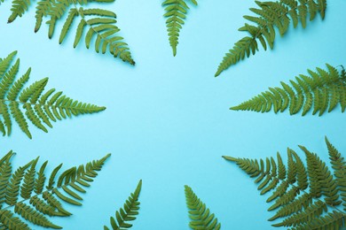 Photo of Beautiful tropical fern leaves on light blue background, flat lay. Space for text