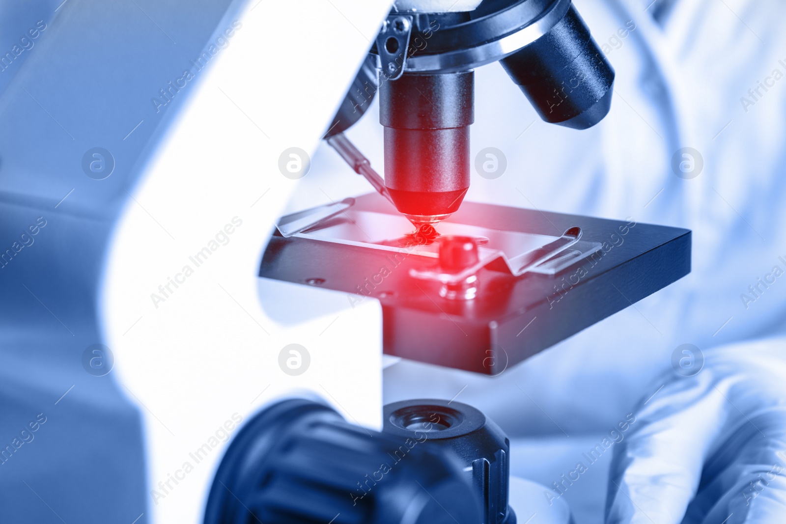 Image of Scientist examining blood sample with microscope, closeup. Laboratory analysis