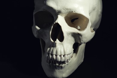 Photo of White human skull with teeth on black background, closeup