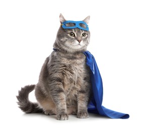 Adorable cat in blue superhero cape and mask on white background