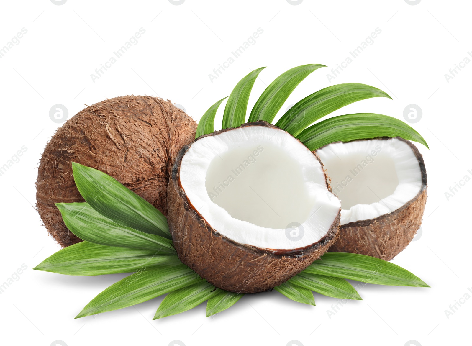 Tasty ripe coconuts and green leaves on white background Image of Tasty ripe coconuts and green leaves on white background