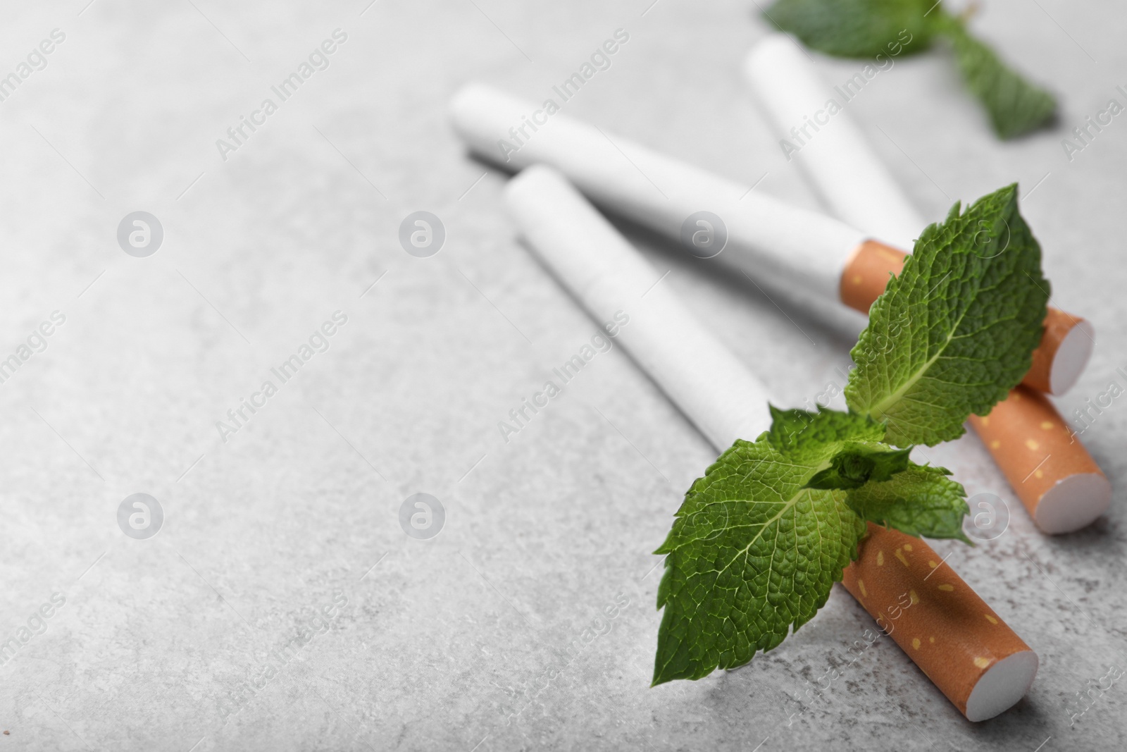Photo of Menthol cigarettes and mint leaves on grey table, closeup. Space for text