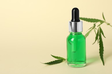 Photo of Bottle of hemp essential oil serum and green leaves on beige background, space for text. Natural cosmetics