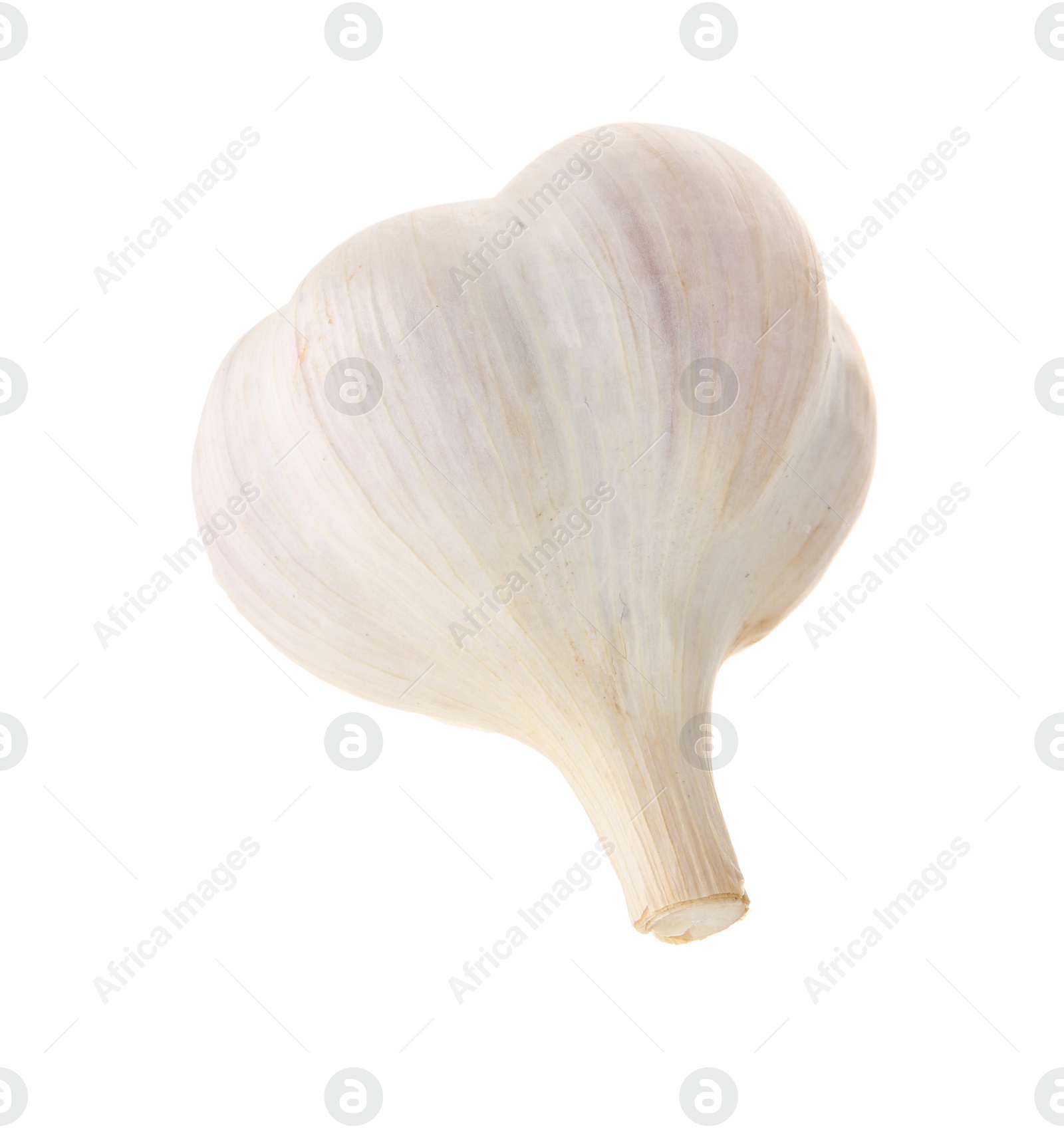 Photo of Unpeeled head of fresh garlic isolated on white