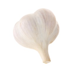 Photo of Unpeeled head of fresh garlic isolated on white