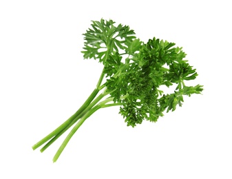 Photo of Fresh green organic parsley on white background