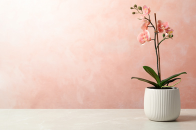 Photo of Beautiful artificial plant in flower pot on light table against color background. Space for text