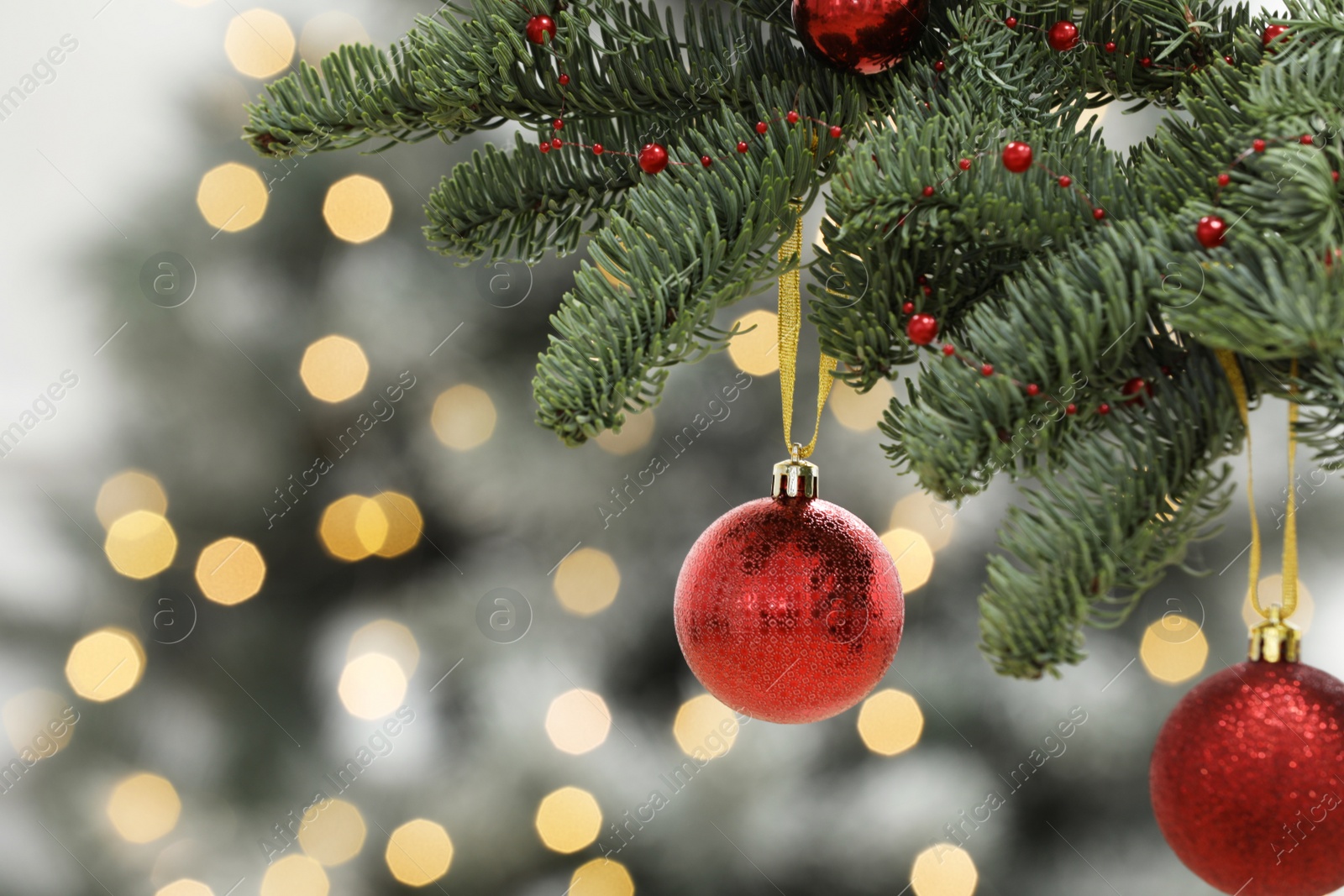 Photo of Red Christmas balls hanging on fir tree against blurred festive lights