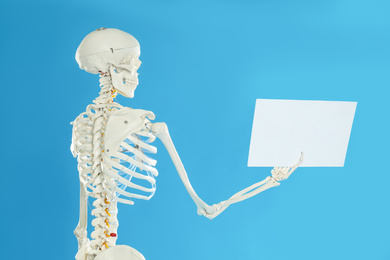 Photo of Artificial human skeleton model with blank paper sheet on blue background. Mockup for design