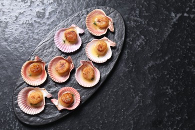 Photo of Delicious fried scallops in shells on black table, top view. Space for text