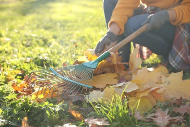 Woman raking fall leaves in park, closeup. Space for text